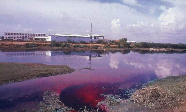 the sludge wastewater of printing and dyeing industry