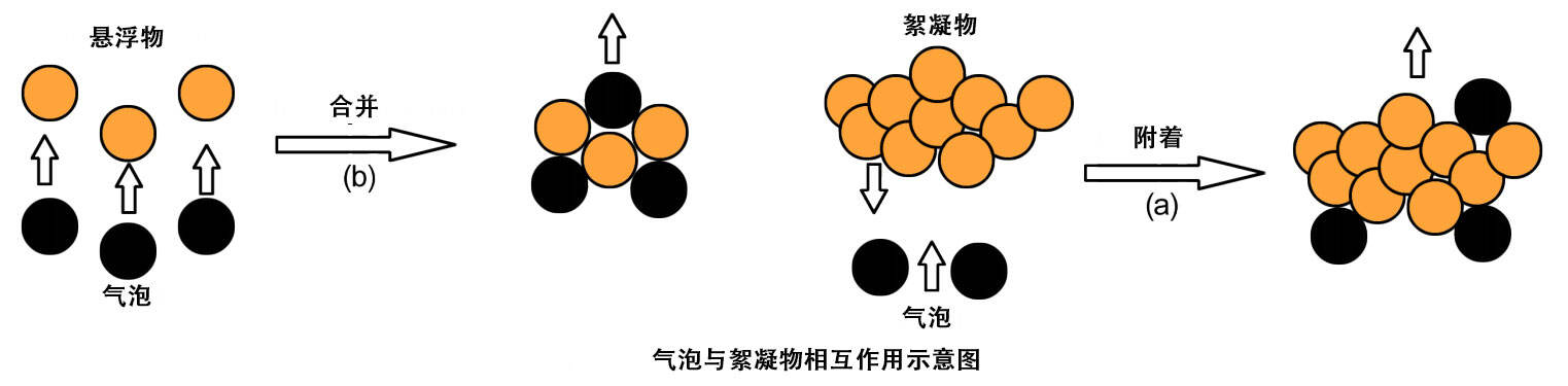 Schematic diagram of the interaction between bubbles and flocs