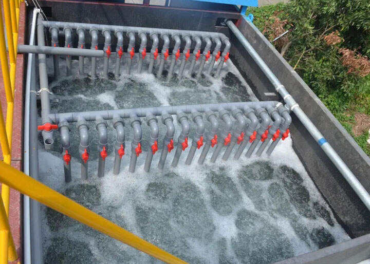 The solution of domestic sewage treatment process