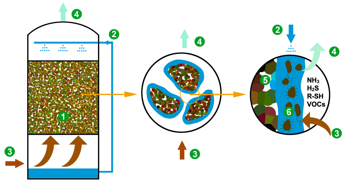 How biological deodorization works?
